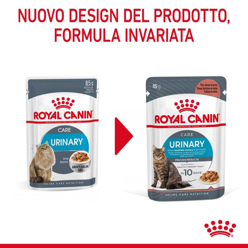 Royal Canin Cat Adult Urinary Care Gravy 85 gr