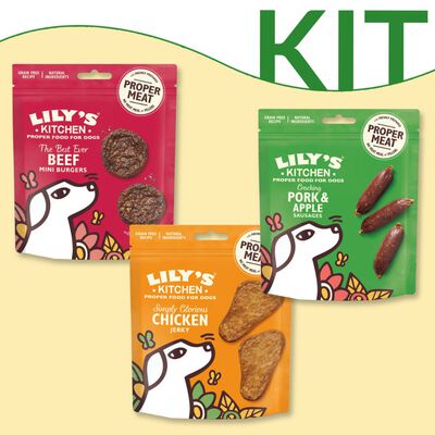 Lily's Kitchen Dog Adult Snack