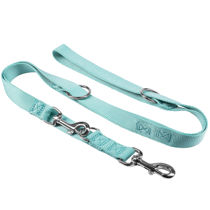 Petup Guinzaglio da Addestramento 18 mmx2mt acquamarina