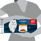 Gourmet Perle Cat Adult Filettini in salsa Pollo, Coniglio, Selvaggina e Vitello 85grx40pz