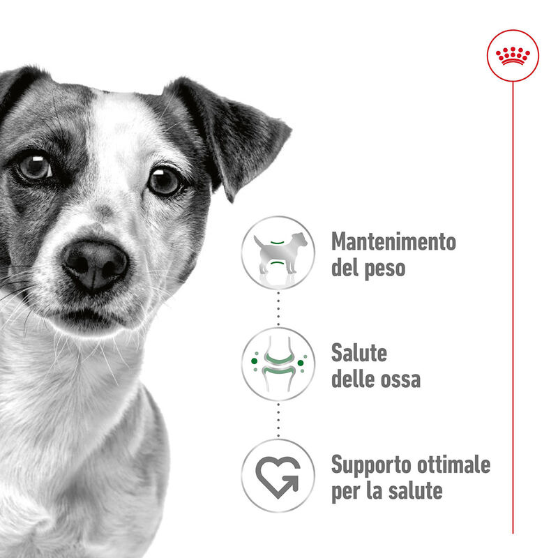 Royal Canin Dog Mini Adult 8 kg + 1kg Omaggio