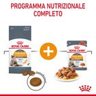 Royal Canin Cat Adult Hair&Skin in Salsa 85gr