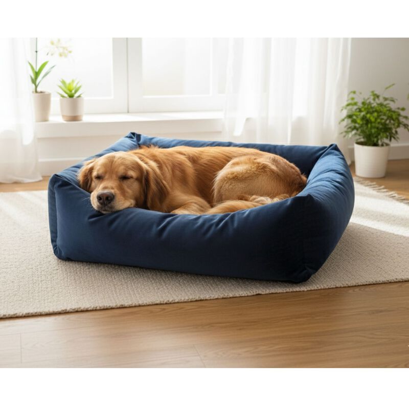 L'Isola dei Tesori Cuccia Relax velluto blu con cuscino 45x60 cm