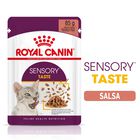 Royal Canin Cat Adult Sensory Taste Salsa 85 gr