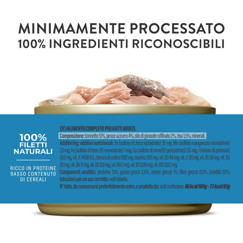 Schesir Cat Adult Tonno e pesce azzurro jelly 85g