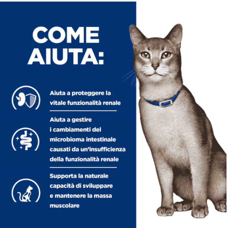 Hill's Prescription Diet Kidney Care per Gatti adulti con Salmone 1,5kg