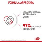 Royal Canin Dog Mini Puppy 85 gr