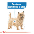 Royal Canin Dog Adult Light Weight Care 85 gr