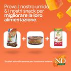 N&D Farmina Pumpkin Cat Cervo e Mela 1,5 kg