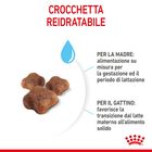 Royal Canin Cat Adult e Kitten Mother and Babycat 2 kg