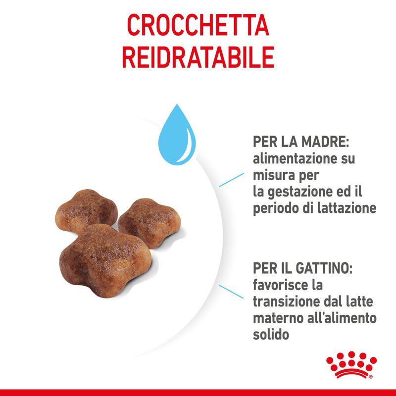 Royal Canin Cat Adult e Kitten Mother and Babycat 2 kg