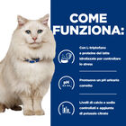 Hill's Prescription Diet Cat c/d Multicare Stress spezzatino aromatizzato con tonno e verdure 82gr