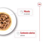 Royal Canin Health Nutrition Dog Senior Mini Ageing 85 gr