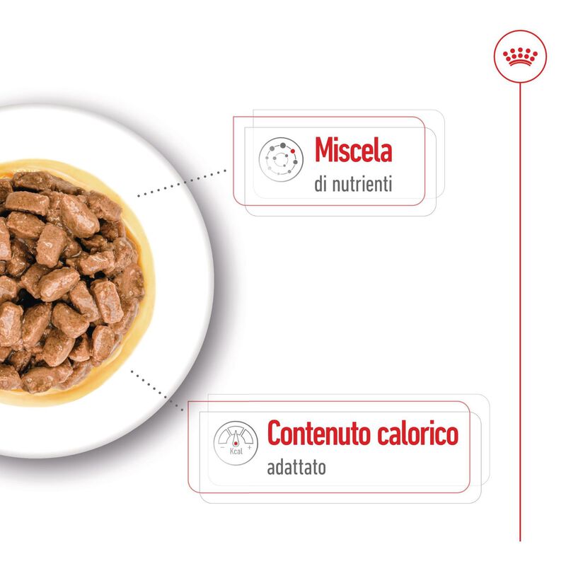 Royal Canin Health Nutrition Dog Senior Mini Ageing 85 gr