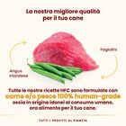 Almo Nature HFC Dog Adult con Angus Irlandese 85 gr 