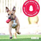 Kong Flyer per cani L Rosso
