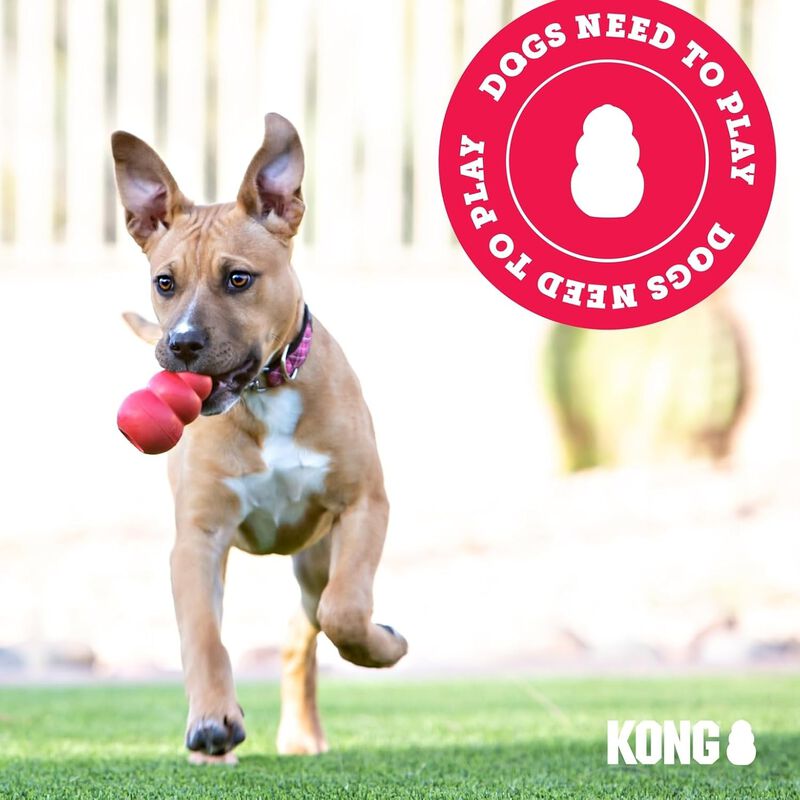 Kong Flyer per cani L Rosso