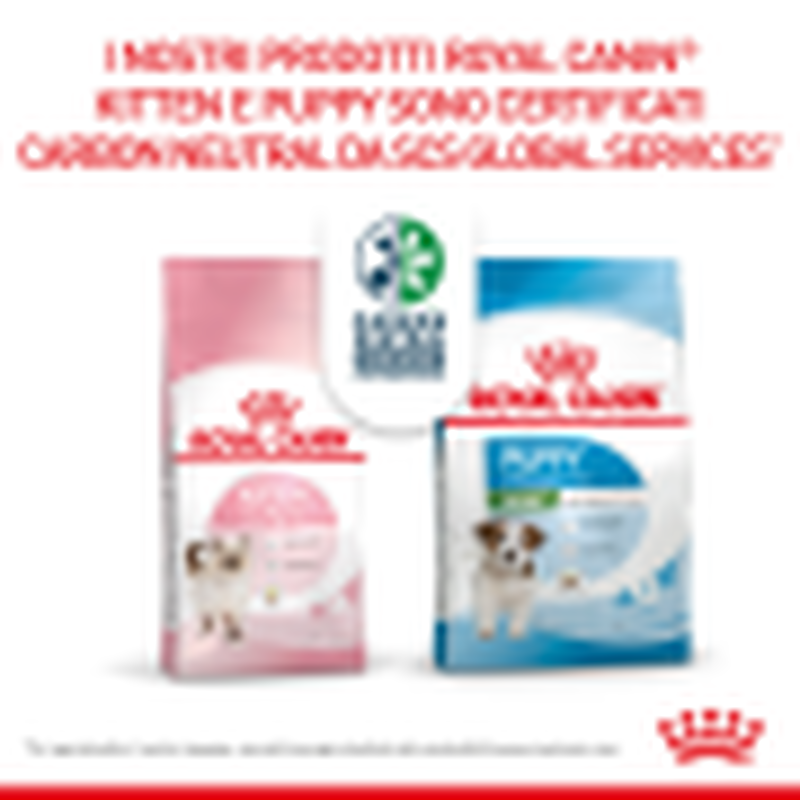 Royal Canin Dog Mini Puppy 4 kg