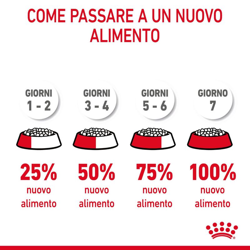 Royal Canin Cat Adult Dental Care 400 gr
