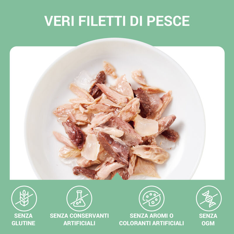 Schesir Cat Tonnetto con Aloe in Gelatina 70g
