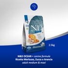 Farmina N&D Ocean Dog Adult Medium&Maxi Merluzzo, Zucca e Arancia 2,5 kg
