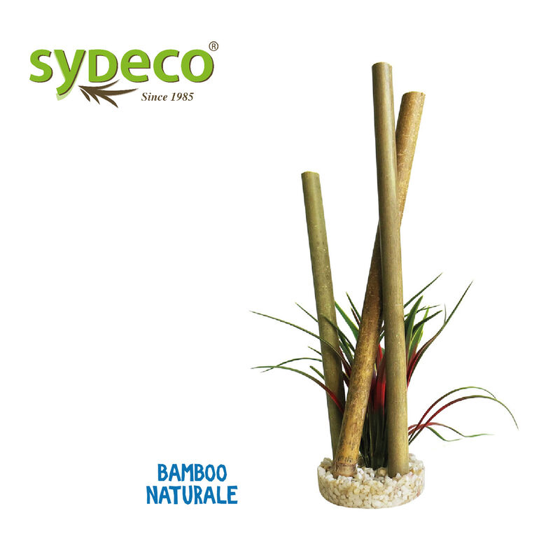 Sydeco Bamboo Papyrus