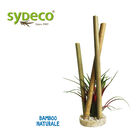 Sydeco Bamboo Papyrus