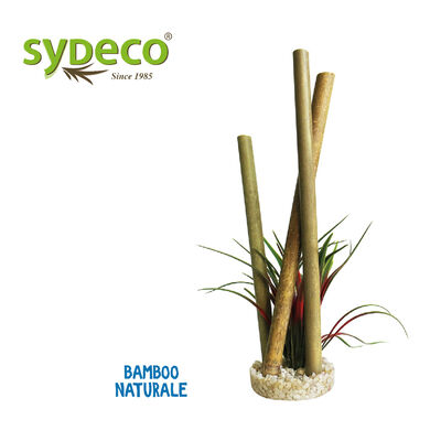 Sydeco Bamboo Papyrus