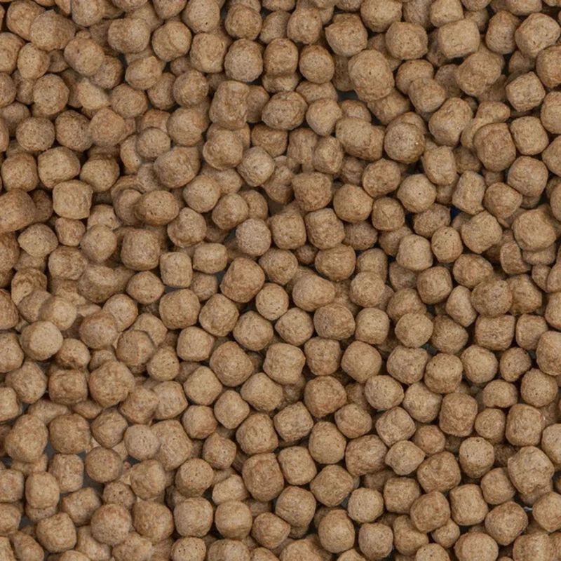 Sera Koi Royal Medium 1 lt