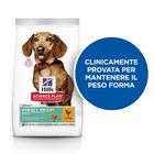 Hill's Science Plan Dog Perfect Weight Small & Mini Adult al Pollo 1,5 kg