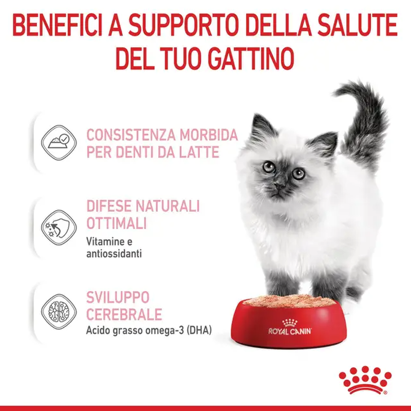Royal Canin Cat Kitten Loaf  85 gr