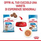 Royal Canin Dog Medium Puppy 140 gr