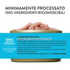 Schesir Cat Adult Tonnetto jelly 140gr