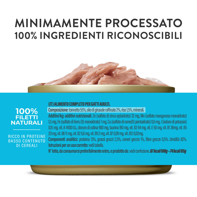 Schesir Cat Adult Tonnetto jelly 140gr