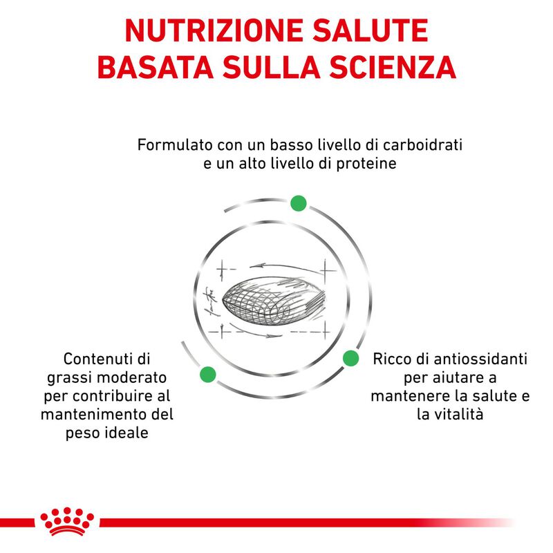 Royal Canin Veterinary Diet Dog Diabetic 7 kg