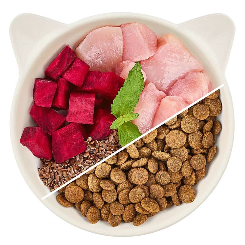 Wow Cat Adult Pollo con Erba Gatta 2 kg
