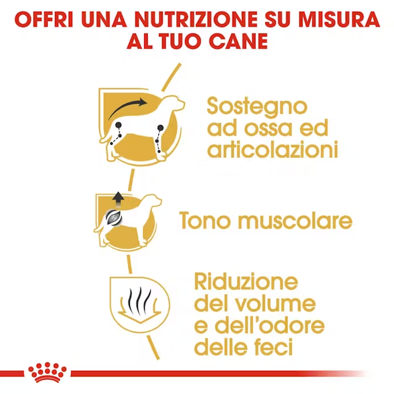 Royal Canin Dog Adult e Senior Bassotto 1,5 kg