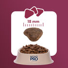 Monopro Dog Adult Medium&Large Grain Free Agnello 3 kg