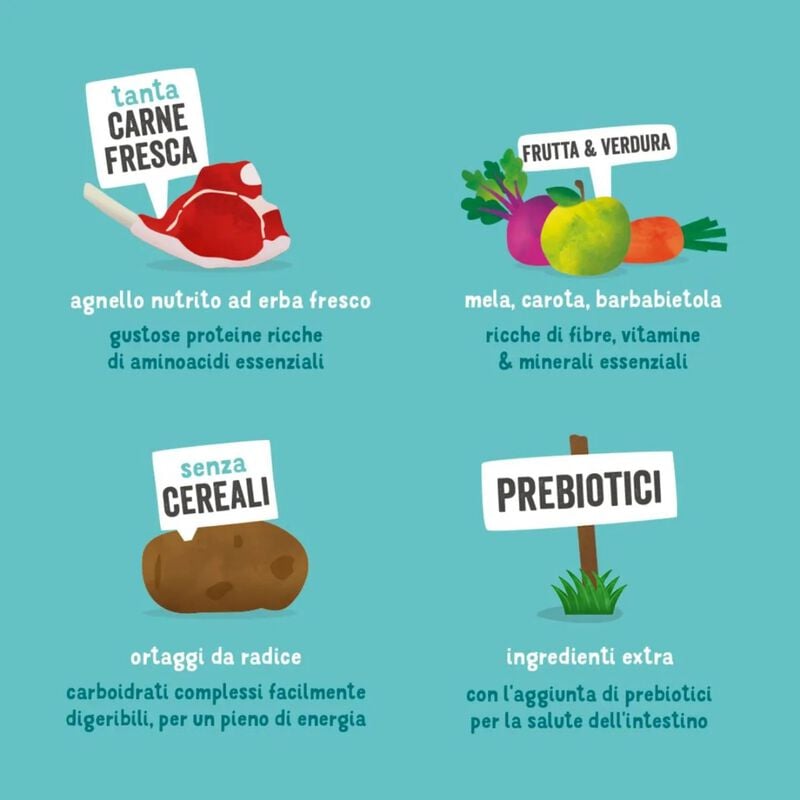 Edgard & Cooper Dog Adult Large Breed Agnello 12 kg