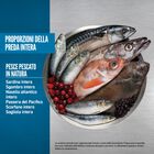 Orijen Cane Adulto Six Fish 11,4 Kg