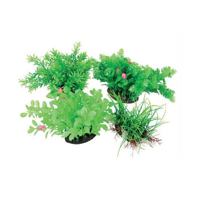 Zolux Aeroplant Diffusore Verde M