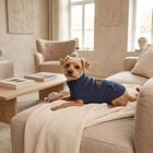 Camon Maglioncino per cani Blue patch tg. 27 Blu