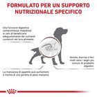 Royal Canin Veterinary Diet Dog Gastrointestinal 2 kg