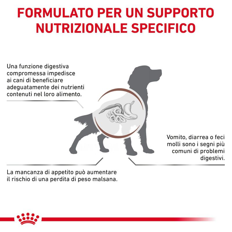 Royal Canin Veterinary Diet Dog Gastrointestinal 2 kg