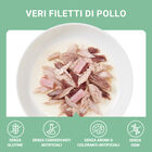 Schesir Cat Pollo con Prosciutto inì brodo70 gr