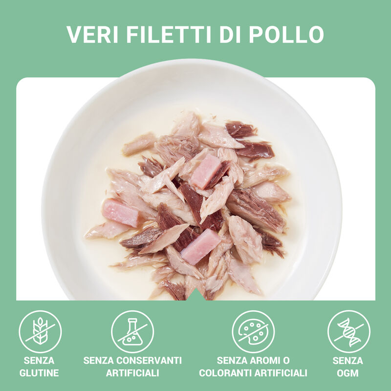 Schesir Cat Pollo con Prosciutto inì brodo70 gr