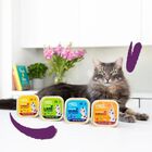 Edgard & Cooper Cat Adult Multipack Pat&egrave; 85 gr x 8 pz