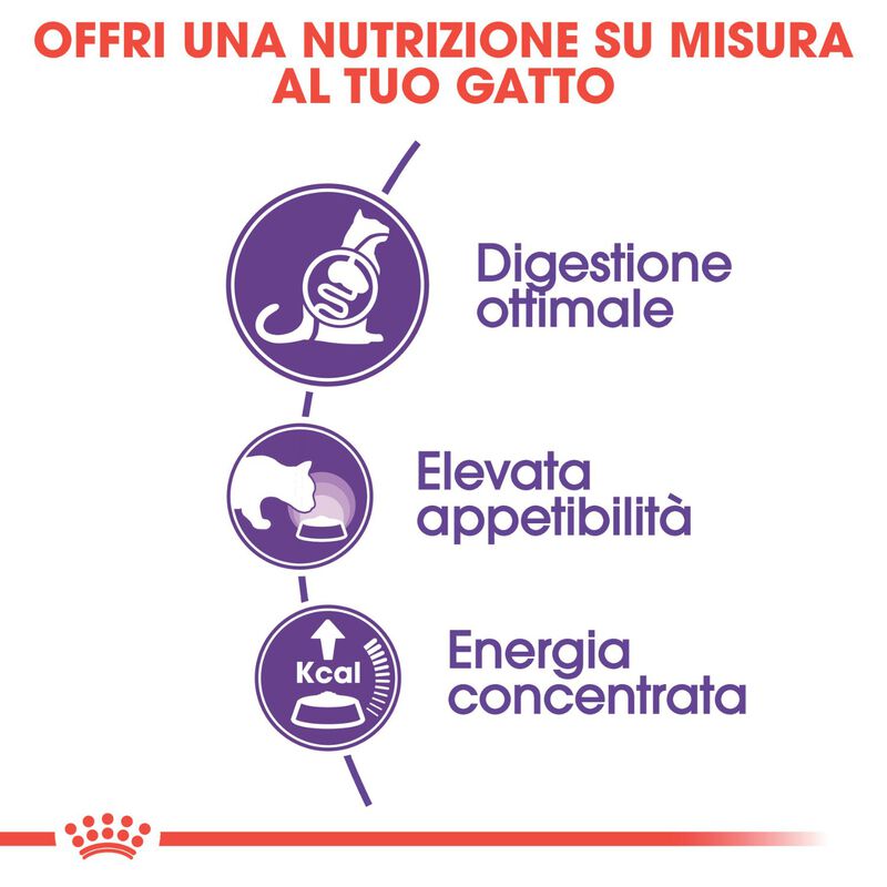 Royal Canin Cat Adult Sensible 33 2 kg