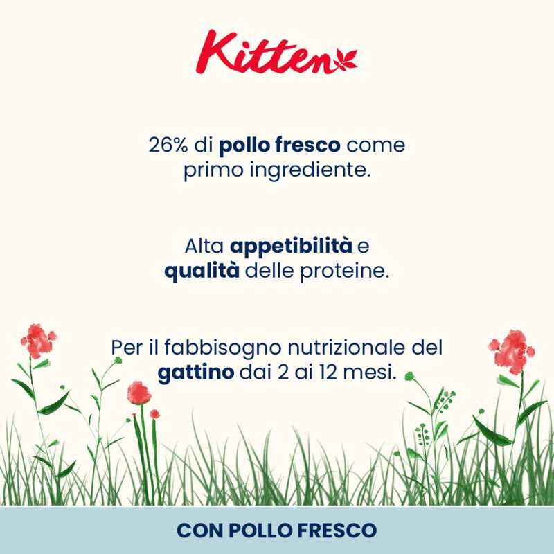 Almo Nature Kitten con Pollo 400 gr
