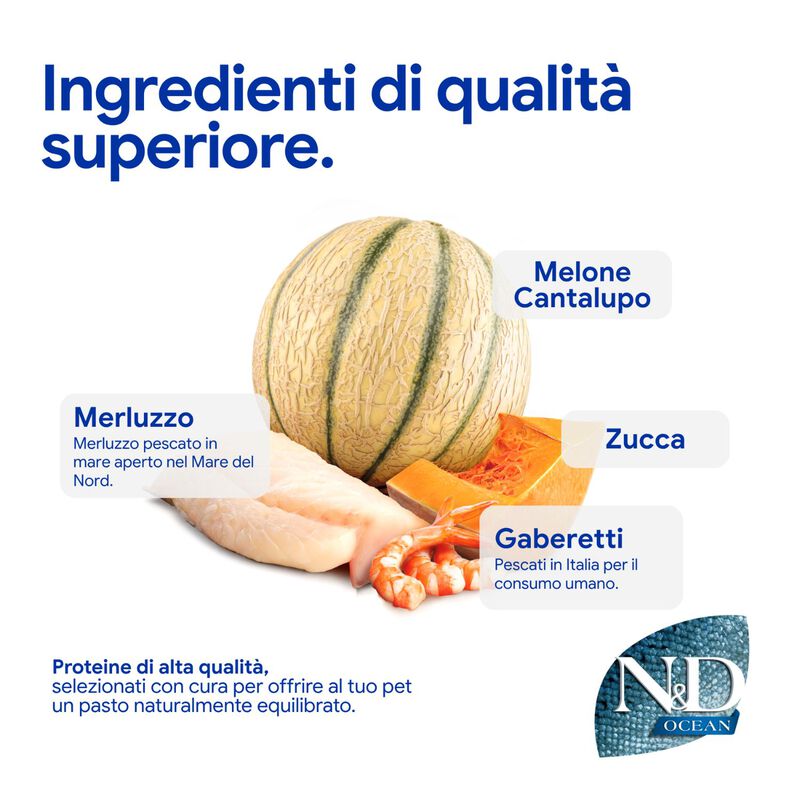 N&D Farmina Ocean Kitten Merluzzo, Gamberetti, Zucca e Cantalupo 1,5 kg